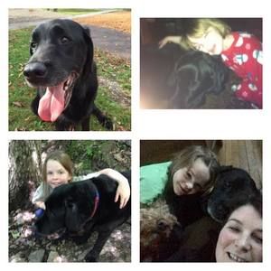 Meet your Posher, Casey