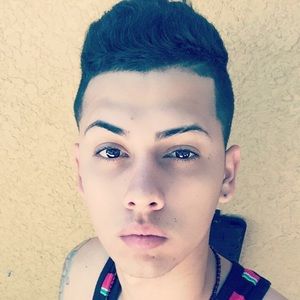 Meet your Posher, Hector