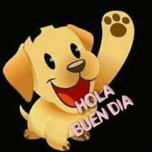 Meet your Posher, Jr ramon