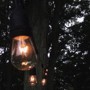 Meet your Posher, Bridget