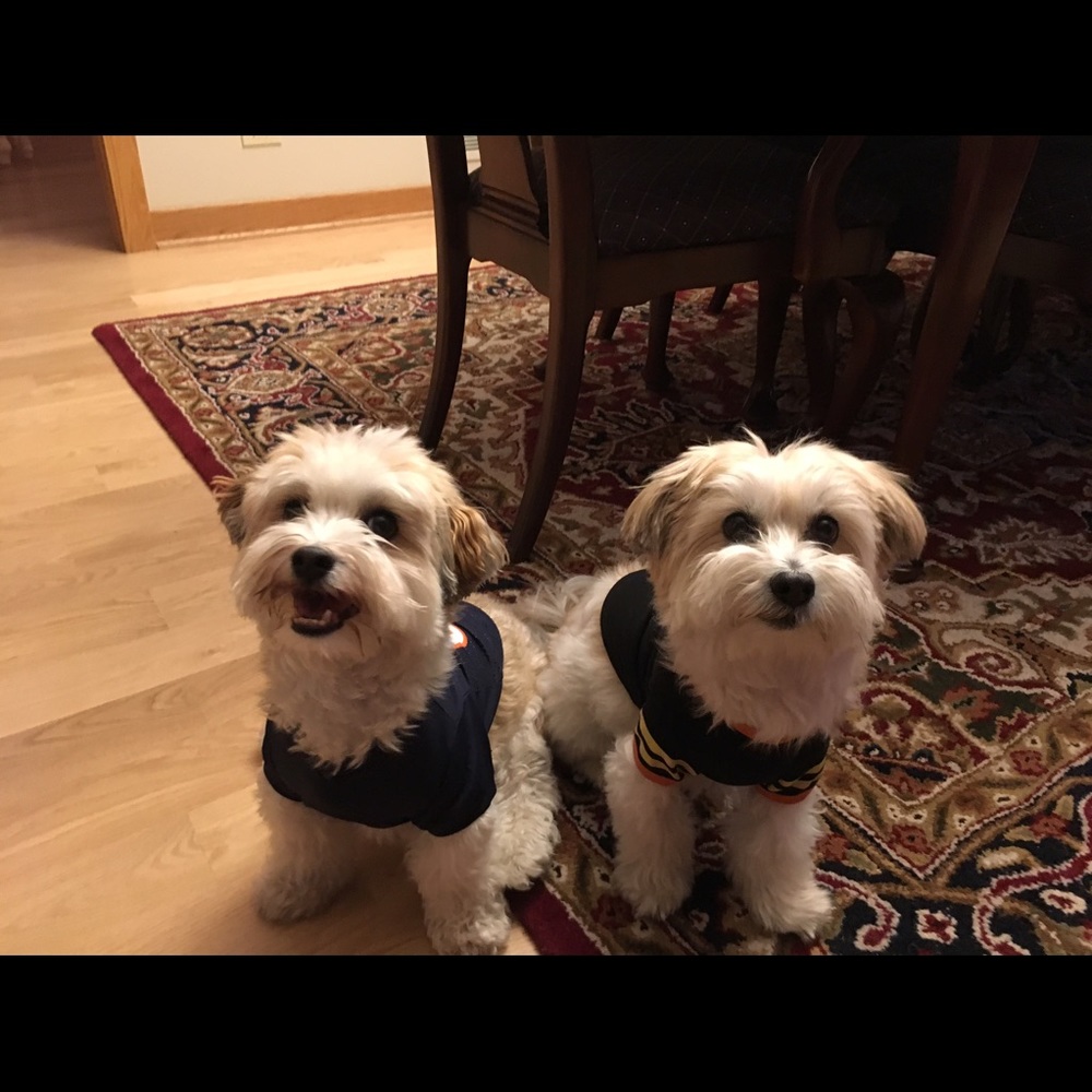 Meet your Posher, Gina