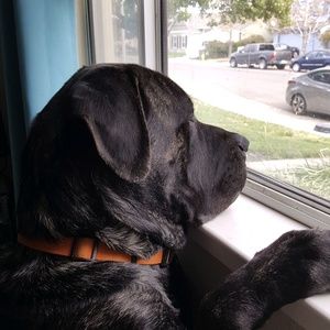 Meet your Posher, Araceli