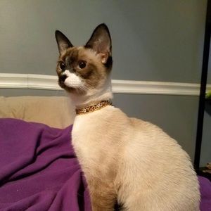 Meet your Posher, Kristin