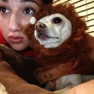 Meet your Posher, Rc