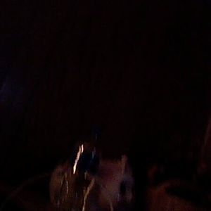 Meet your Posher, Jerry