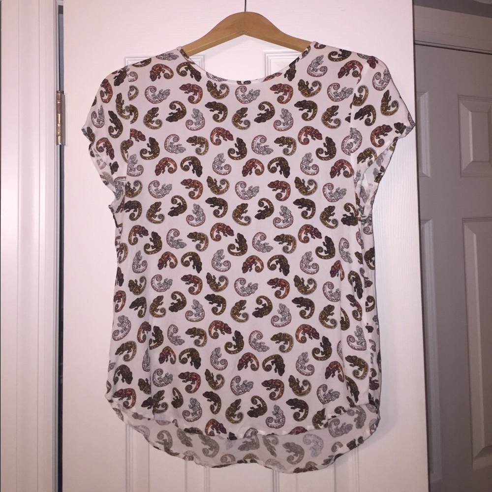 H&M Chameleon Blouse