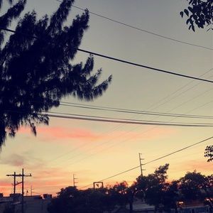 Meet your Posher, Josie