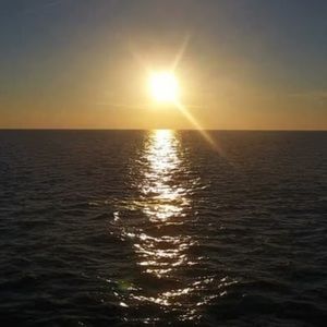 Meet your Posher, Karleigh