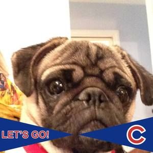 Meet your Posher, Tabitha