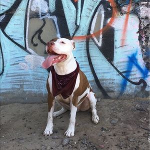 Meet your Posher, Jacob