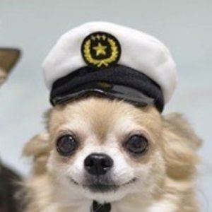 Meet your Posher, Remington