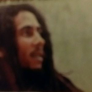 Meet your Posher, Raychel