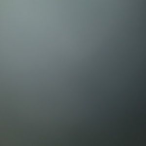 Meet your Posher, Diego