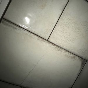 Meet your Posher, Mia