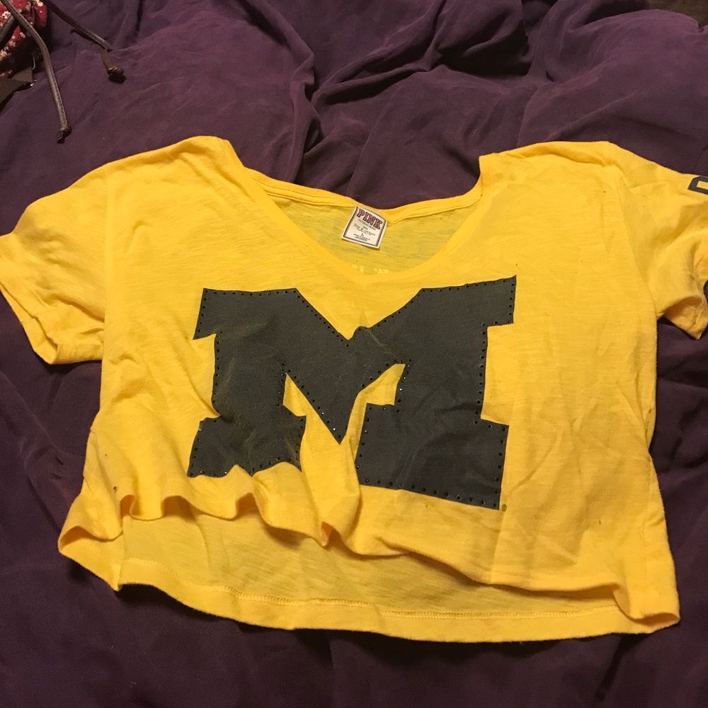 Pink Collegiate U of Michigan crop top size Large