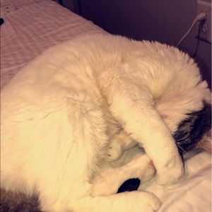 Meet your Posher, Emma