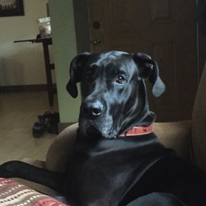 Meet your Posher, Caitlin