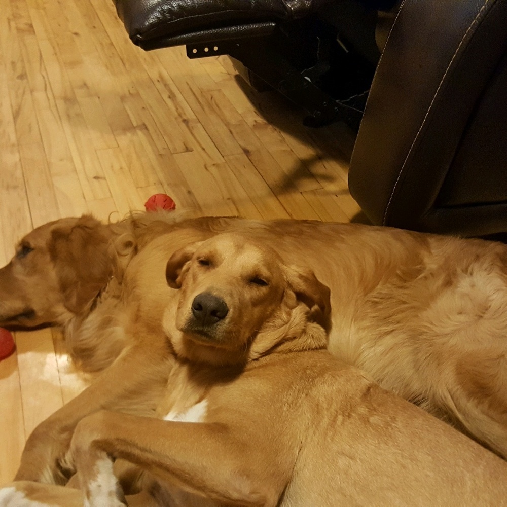 Meet your Posher, Nichol