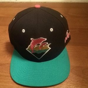 Pink Dolphin Snapback