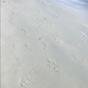 Meet your Posher, Breanna