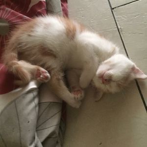 Meet your Posher, Alicia