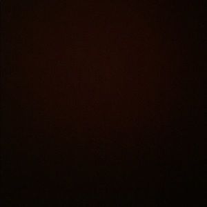 Meet your Posher, Bernardo