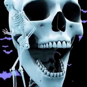 Meet your Posher, Kairi