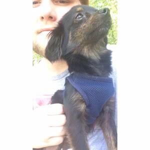 Meet your Posher, Richie