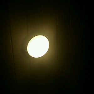 Meet your Posher, Jackson