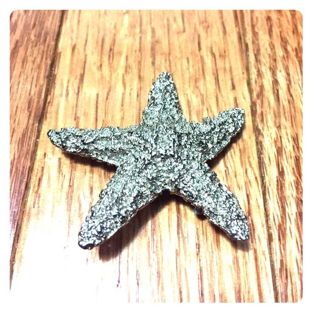 Beautiful silver starfish brooch ⭐️