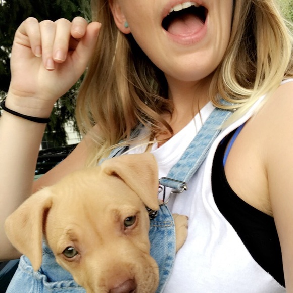 Meet your Posher, Alison - Picture 3 of 4