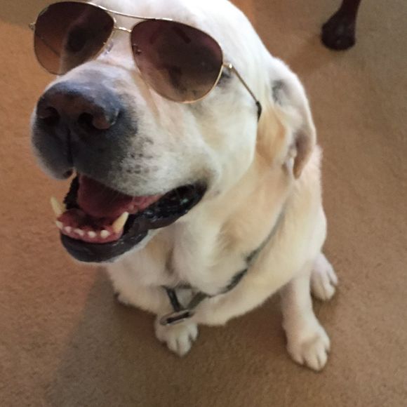 Meet your Posher, Mary Ann - Picture 2 of 8