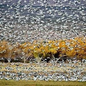 Meet your Posher, Christa