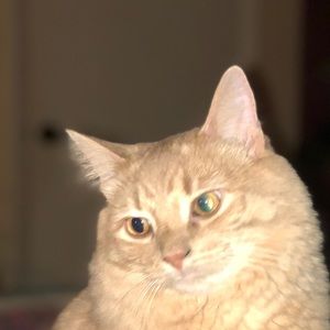 Meet your Posher, Izabella