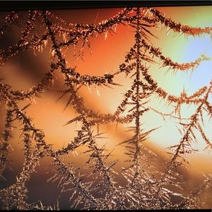 Meet your Posher, Tamara