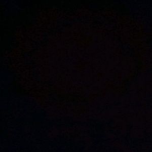 Meet your Posher, Teresa