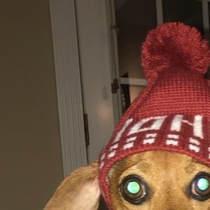 Meet your Posher, Jenna