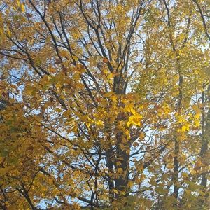 Meet your Posher, Fariba