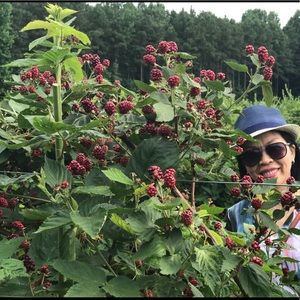 Meet your Posher, Vuong