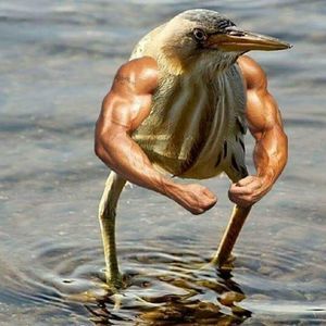 Meet your Posher, Dylan