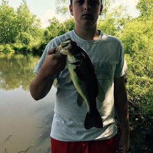 Meet your Posher, Jonathan