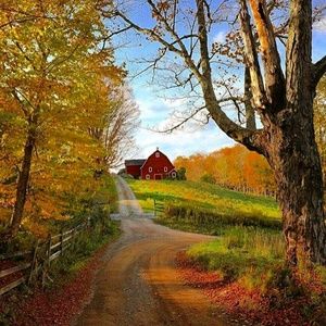 Meet your Posher, Meredith