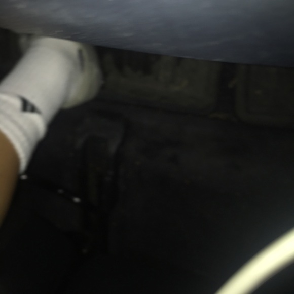 Meet your Posher, Cheeno - Picture 1 of 1