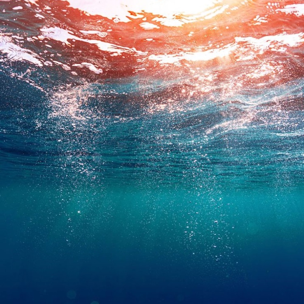 Meet your Posher, Samantha!