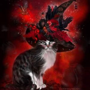 Meet your Posher, Debra