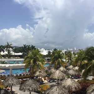 Meet your Posher, Dorinda