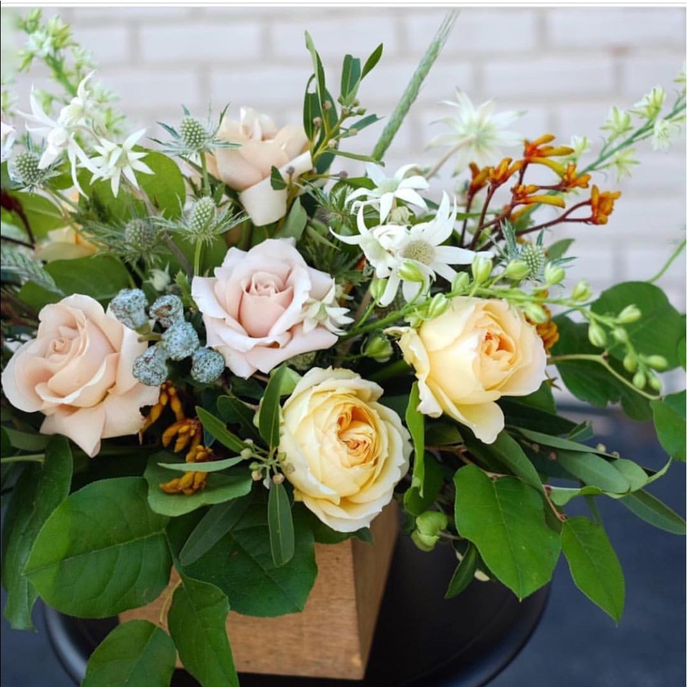 Meet your Posher, Patricia