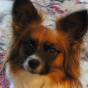 Meet your Posher, Linda