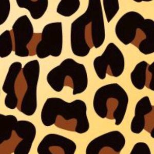 Meet your Posher, Lisa marie