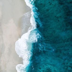 Meet your Posher, Lily